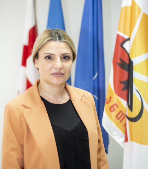 9.ნინო ყაზარაშვილი საქმის მწარმოებელიარქივარიუსი 800x600