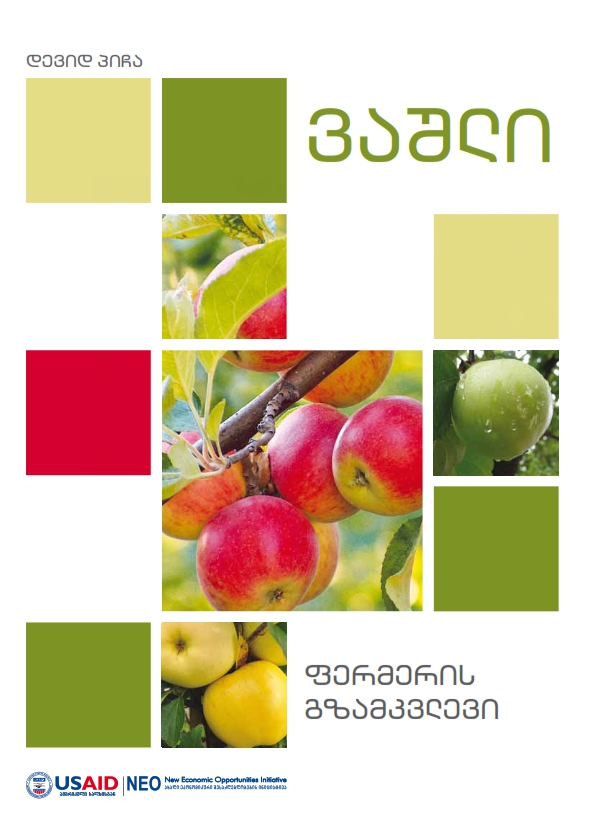 Cover of დევიდ პიჩა  - ვაშლი