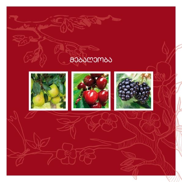 Cover of მებაღეობა