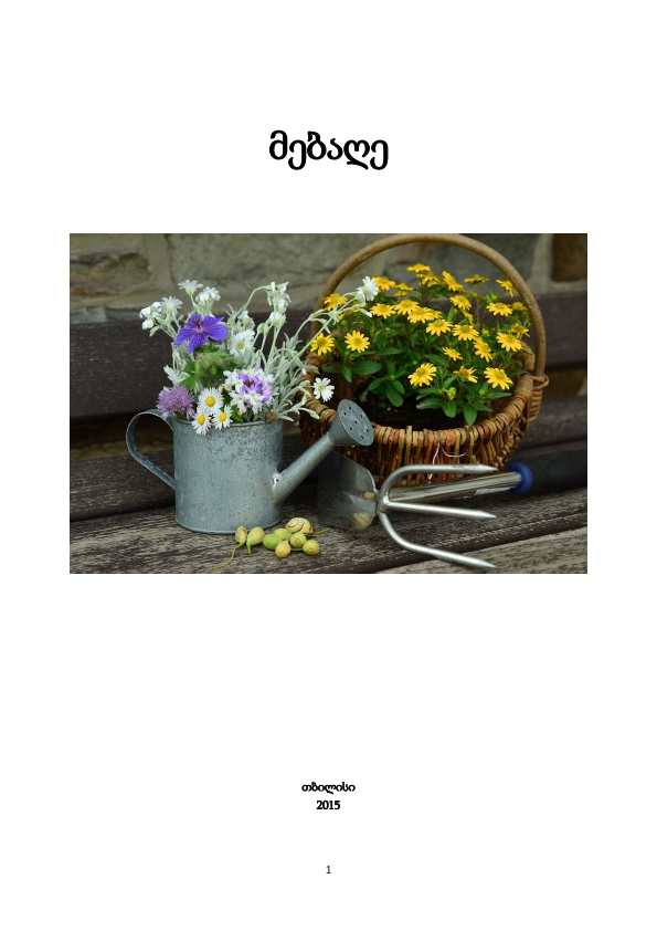 Cover of მებაღე