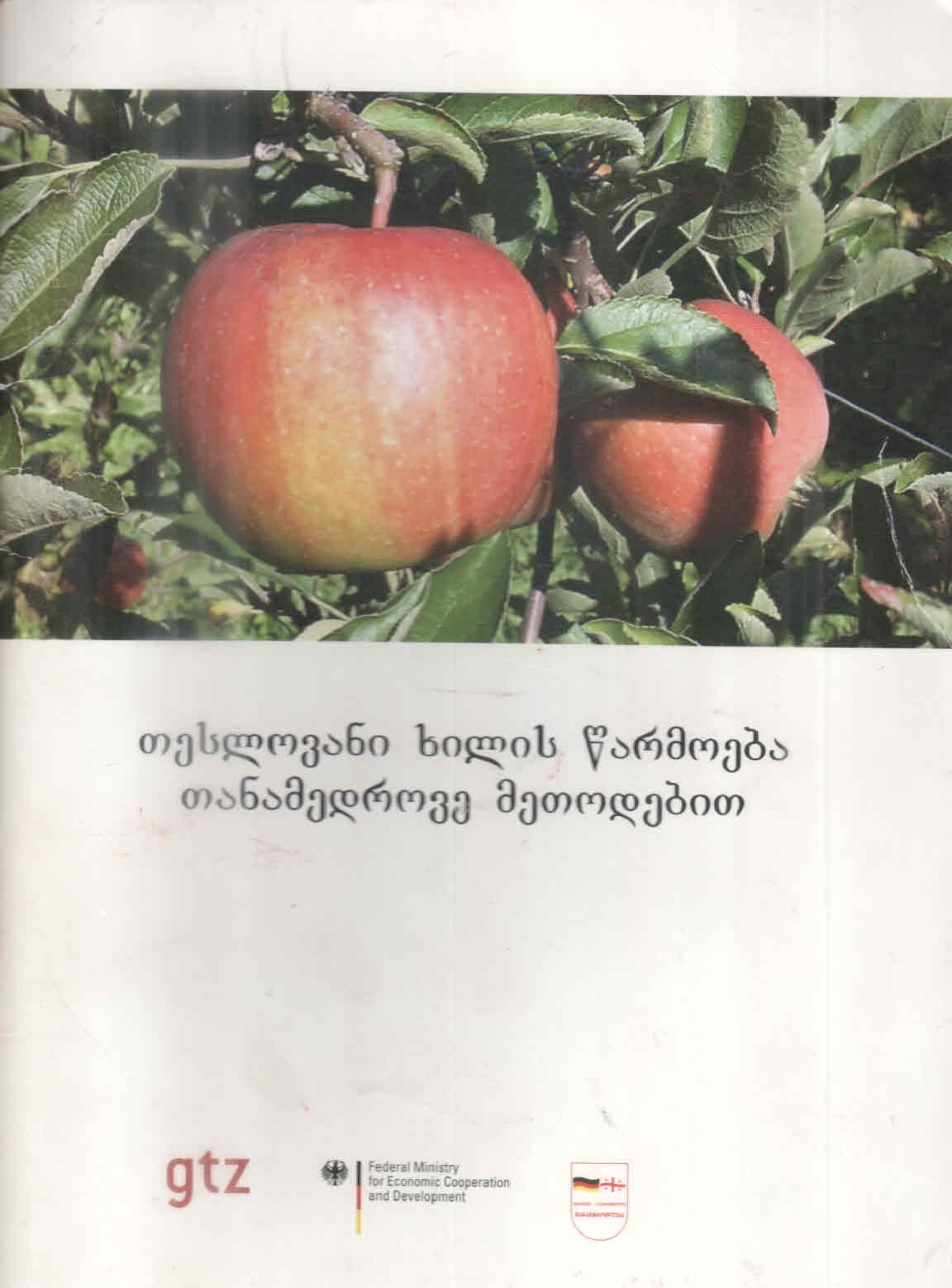 Cover of თესლოვანი ხილის წარმოება თანამედროვე მეთოდებით