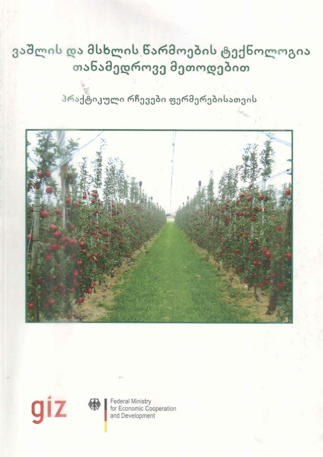 Cover of ვაშლისა და მსხლის წარმოების ტექნოლოგია